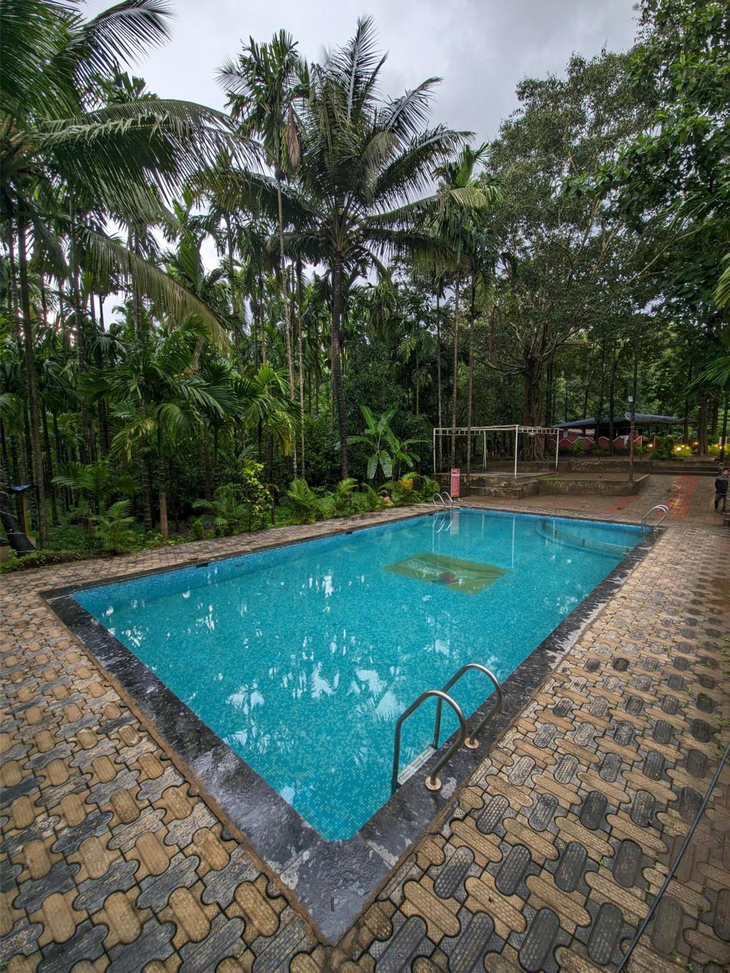 דנדלי Sunbird Jungle Stay מראה חיצוני תמונה